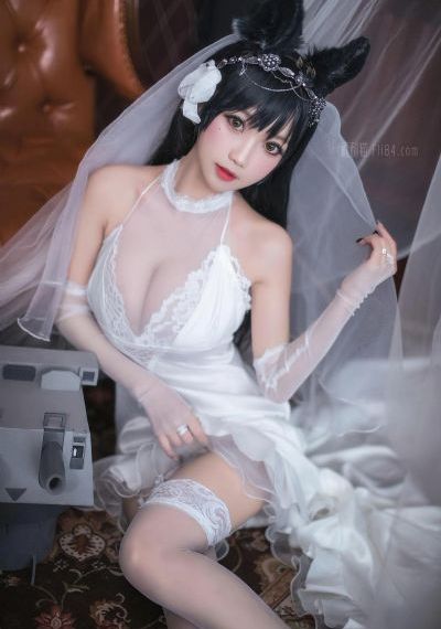 免费观看电视在线高清视频大全