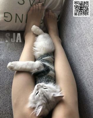 武动乾坤第二季全集免费播放