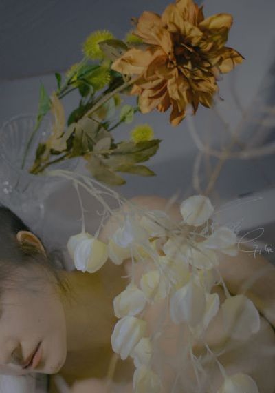 神雕侠侣刘亦菲版免费资源
