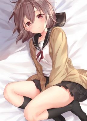 29片棕榈叶