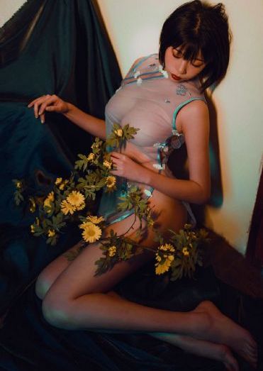 完美世界动漫樱花动漫